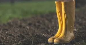 Barış Manço'nun Efsane Şarkısının Gizemi: Sarı Çizmeli Mehmet Ağa Gerçekten Hesap Ödedi mi?
