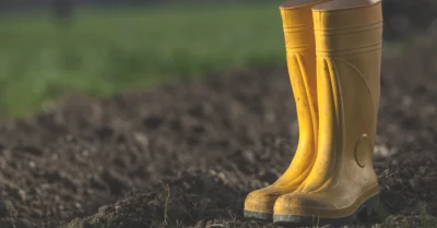 Barış Manço'nun Efsane Şarkısının Gizemi: Sarı Çizmeli Mehmet Ağa Gerçekten Hesap Ödedi mi?