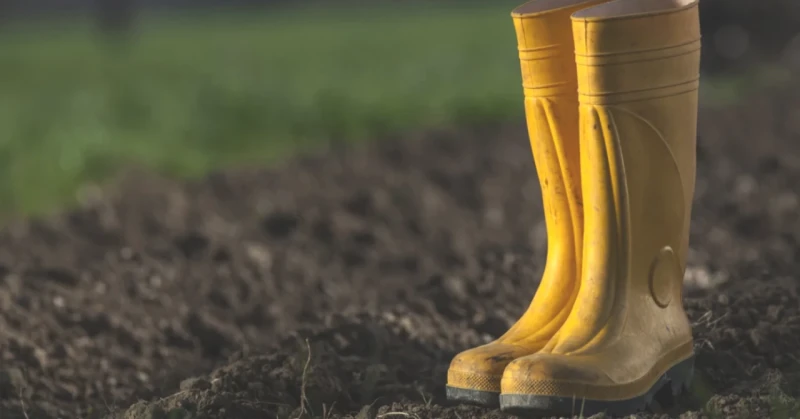 Barış Manço'nun Efsane Şarkısının Gizemi: Sarı Çizmeli Mehmet Ağa Gerçekten Hesap Ödedi mi?